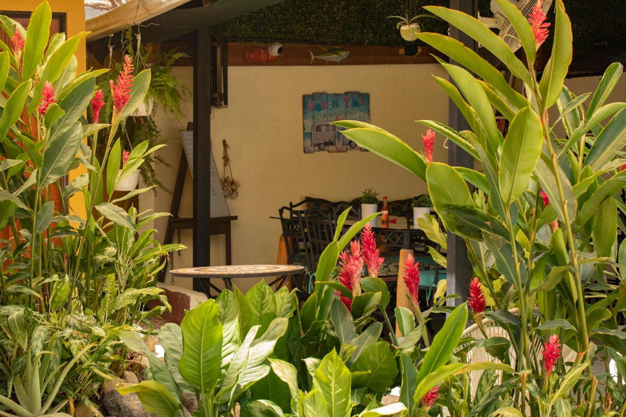 Hotel Laura'S House Coco Exterior photo
